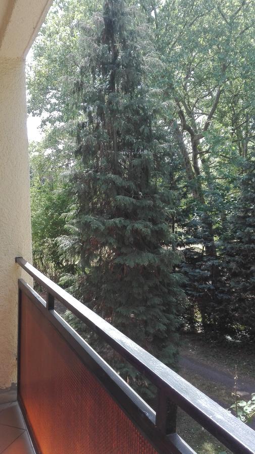 Gyoengyvirag Ueduelo - Mario Apartman Harkány Buitenkant foto